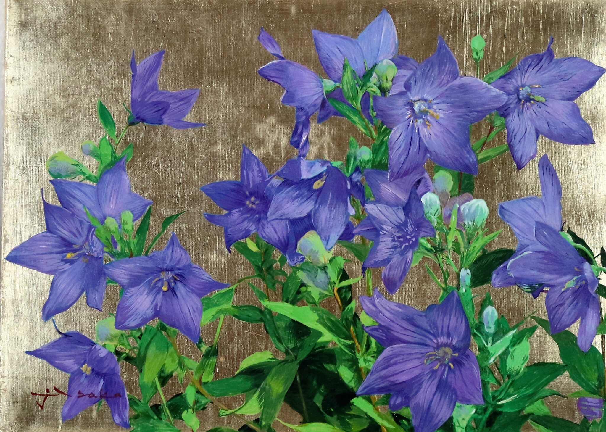 貝の花 油絵 F4(242×333mm) - 絵画