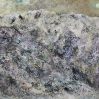 荻須高徳 大橋翠石 棟方志功 梅原龍三郎 児玉幸雄 三岸節子 前田青邨 川合玉堂 平山郁夫 伊藤小坡 堀文子 秋野不矩 草間彌生 片岡球子 篠田桃紅 上村松園 千住博 岩永てる美 加藤東一 丁子紅子 今井龍満 横山大観 東郷青児 出口雄樹 上村淳之 金丸悠児 熊谷守一 新山拓 鈴木強 藤田嗣治 武蔵原裕二 森田りえ子